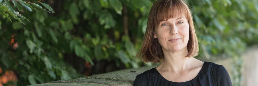 Steuer und Wirtschaftsprüfer Stein